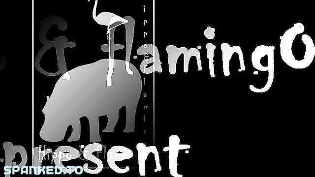 Hippo & Flamingo - Things Take A Dramatic Turn As The First Consequence Leads To An Unexpected Twist