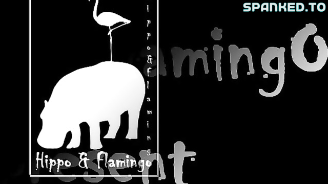 Hippo & Flamingo - When A Man And His Brunette Are Together Everything Around Them Begins To Change